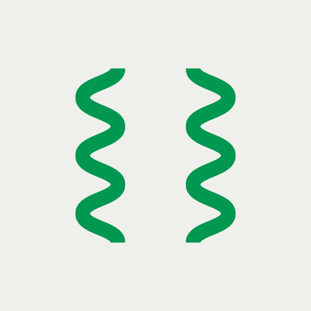Two green spirals side by side on a white background