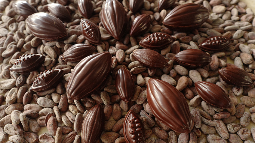 Different sized ethical easter eggs lay on seeds.