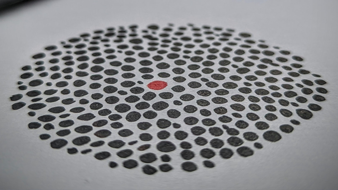 a series of black dots on white paper in the formation of a circle around a central red dot