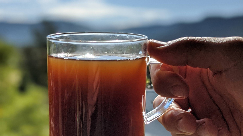 A hand holds a cup of tea in a glass mug.