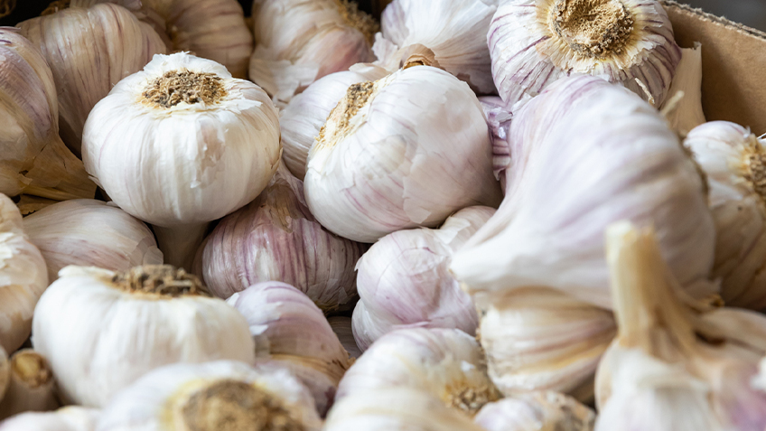 Garlic at Carriageworks Farmers Market