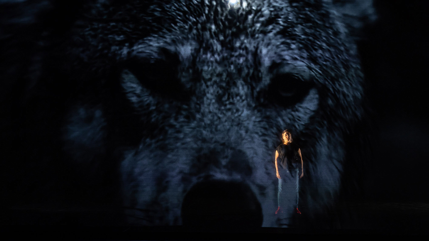 Kaz Therese stands behind a skrim with a wolf projected on it.