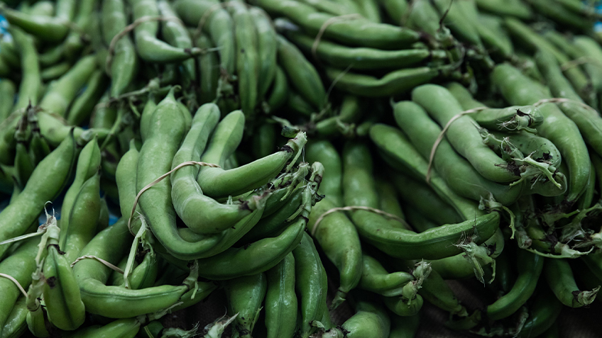 Broad beans are stringed together in piles.