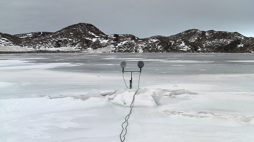 A two microphone set up sits in snow in Antarctica against a mountainous backdrop.