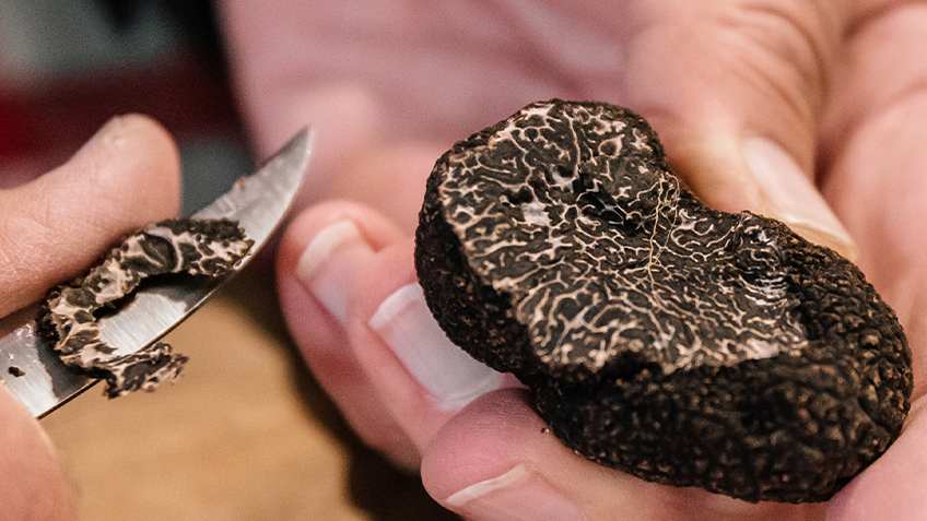 A cut truffle held in hands. Image by Jacquie Manning.